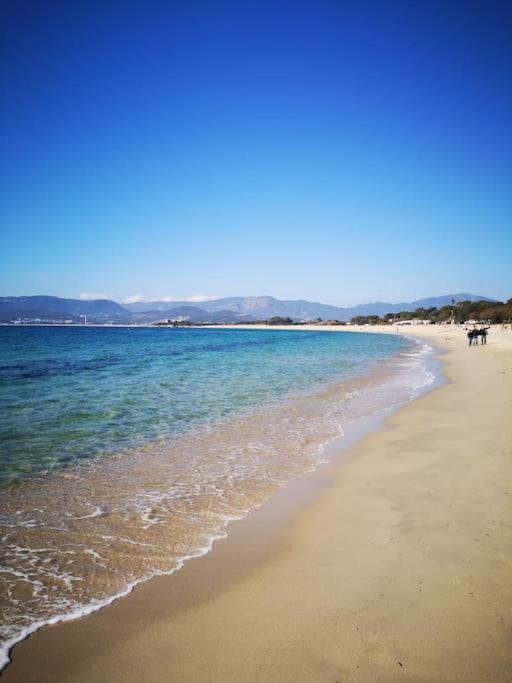 Porticcio : magnifique T2 piscine vue mer Grosseto-Prugna Esterno foto